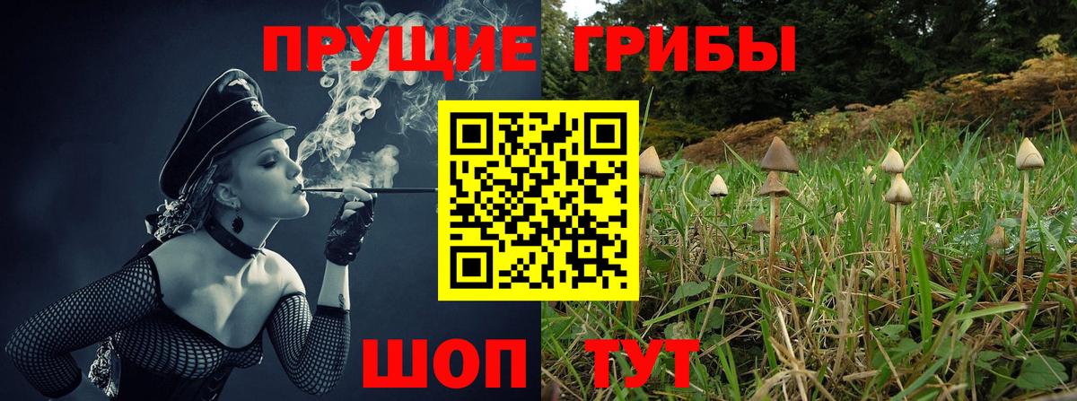 Кириши  Галлюциногенные грибы ЛСД  Галлюциногенные грибы Psilocybe  Вход с VPN 